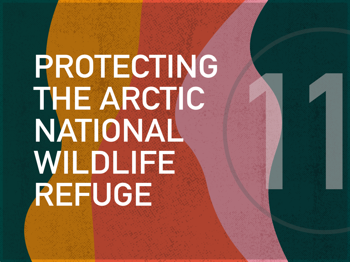 Protecting the Arctic National Wildlife Refuge